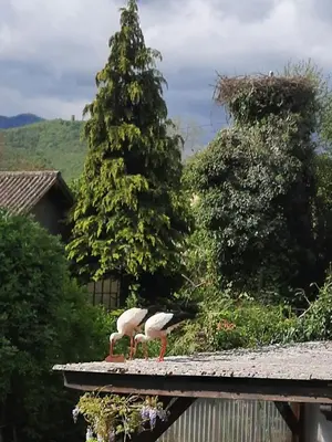 Paysage naturel près de la maison de vacances