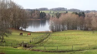 Paysage naturel près de la maison de vacances