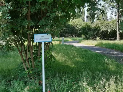 Paysage naturel près de le camping