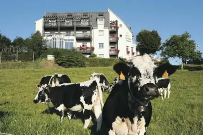 Animaux dans l'hôtel ou à proximité