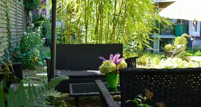 Jardin de l'établissement Hôtel Vauban
