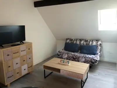 Télévision ou salle de divertissement dans l'établissement Duplex Hyper centre colmar