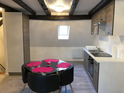 Cuisine ou kitchenette dans l'établissement Duplex Hyper centre colmar