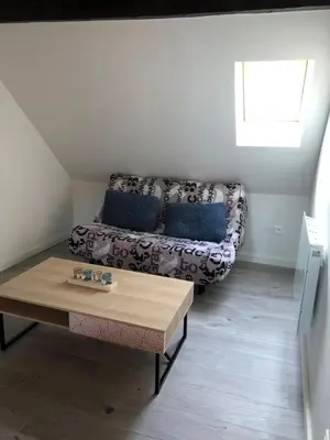 Coin salon dans l'établissement Duplex Hyper centre colmar