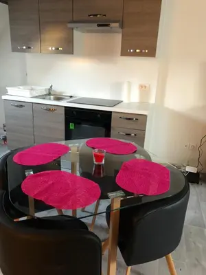 Cuisine ou kitchenette dans l'établissement Duplex Hyper centre colmar