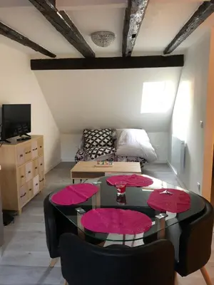Télévision ou salle de divertissement dans l'établissement Duplex Hyper centre colmar