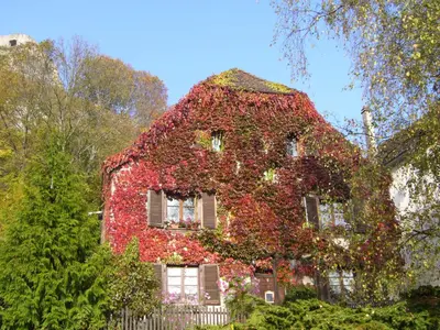 Jardin de l'établissement B&B de charme La Maison des 5 Temps