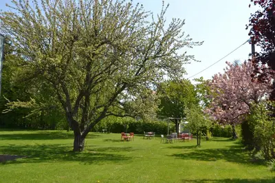 Jardin de l'établissement Logis Hôtel Restaurant & Spa La Rochette