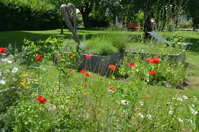 Jardin de l'établissement Logis Hôtel Restaurant & Spa La Rochette
