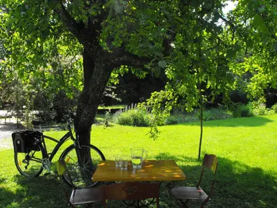 Jardin de l'établissement Chambres d'Hôtes la Maison de Juliette