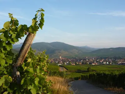 Paysage naturel près de la maison de vacances