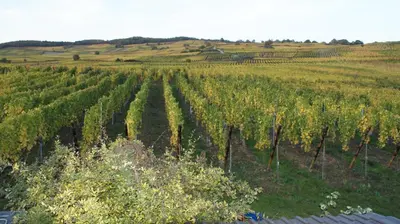 Paysage naturel près de le B&B/chambre d'hôtes