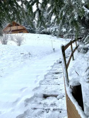 L'établissement Chalet de la Grimpette au coeur de Gérardmer en hiver