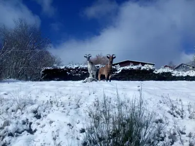 L'établissement Bellavie - Maison d'hôtes en hiver