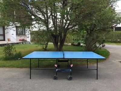 Tennis de table au sein de l'établissement Le Chamois ou à proximité