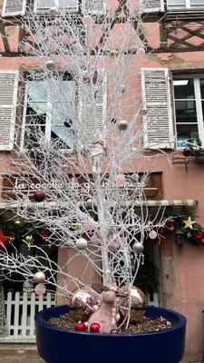 Plan de l'établissement Gite BI UNS chez Silvana