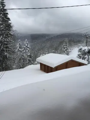 L'établissement chalet 