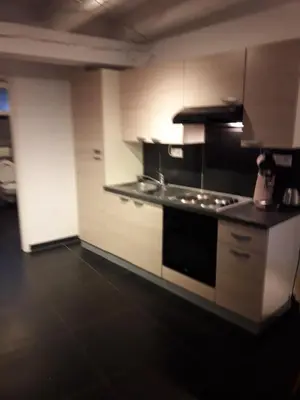 Cuisine ou kitchenette dans l'établissement Les Appartements Berthe Molly