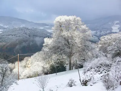 L'établissement Gîte la Sapinière en hiver