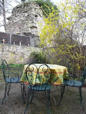 Jardin de l'établissement LA MAISON FLEURIE Gîtes du Florimont