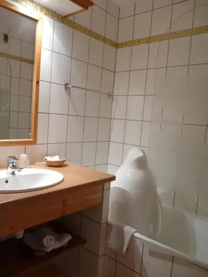 Salle de bains dans l'établissement Hôtel Le Riquewihr
