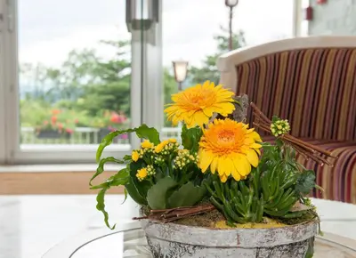 Jardin de l'établissement Alexain Hotel Restaurant & Wellness - Colmar Ouest