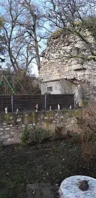 Jardin de l'établissement La tour Gîtes du Florimont