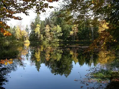 Paysage naturel près de la villa