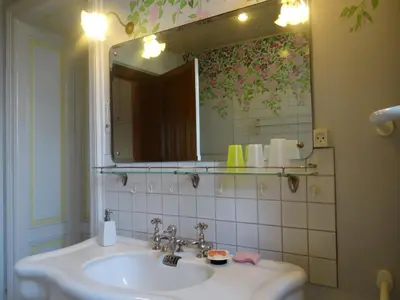 Salle de bains dans l'établissement Mansion in Vecoux with Pool and Garden