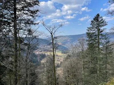 Paysage naturel près de la maison de vacances