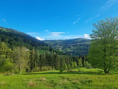 Paysage naturel près de le chalet
