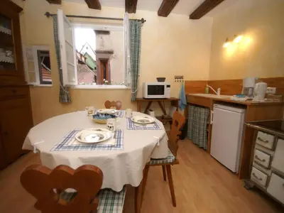 Cuisine ou kitchenette dans l'établissement Apartment in Riquewihr near Vineyards
