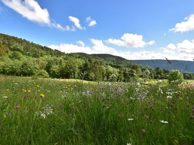 Paysage naturel près de le chalet
