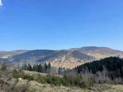 Paysage naturel près de le chalet