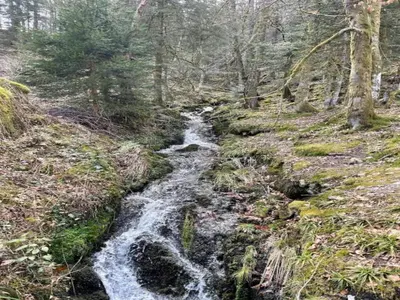 Paysage naturel près de le chalet