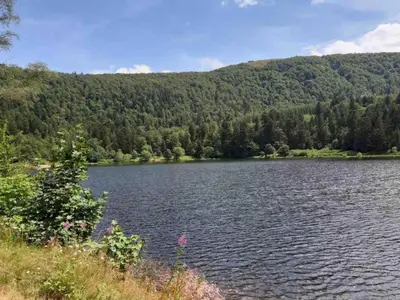 Paysage naturel près de le chalet