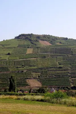 Paysage naturel près de l'appartement