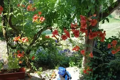 Jardin de l'établissement Chambre dans ancienne Ferme rénovée