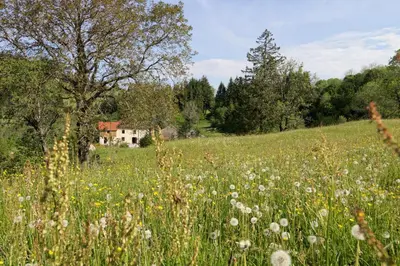Paysage naturel près de le B&B/chambre d'hôtes