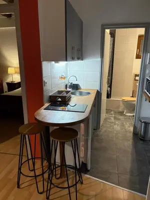 Cuisine ou kitchenette dans l'établissement Appartement authentique centre historique