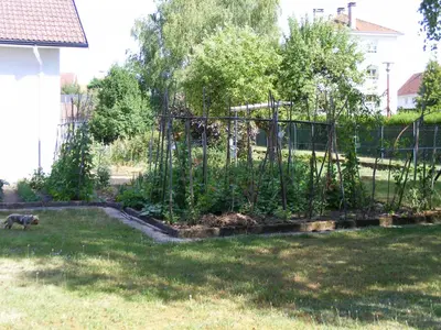 Jardin de l'établissement au sapin des vosges