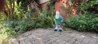 Jardin de l'établissement Gite 3 Frontières