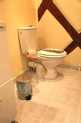 Salle de bains dans l'établissement La Grenouille