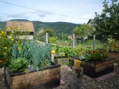 Jardin de l'établissement Gîte La Charmaie