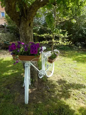 Jardin de l'établissement Gîte La Charmaie
