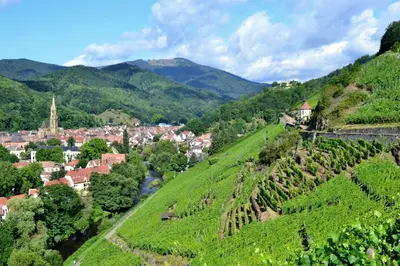 Paysage naturel près de le B&B/chambre d'hôtes