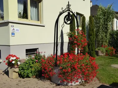 Jardin de l'établissement Studio Rouffach