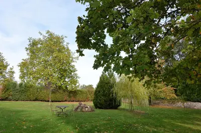 Jardin de l'établissement Chambres d'hôtes Fahrer-Ackermann