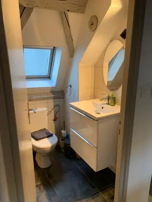Salle de bains dans l'établissement Appartement Duplex 2a Rue d'Alspach