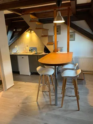 Cuisine ou kitchenette dans l'établissement Appartement Duplex 2a Rue d'Alspach